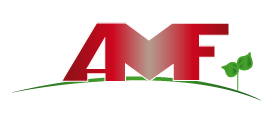 https://www.impresamancusoattilio.it/wp-content/uploads/2018/02/logo-AMF-foot-01.png